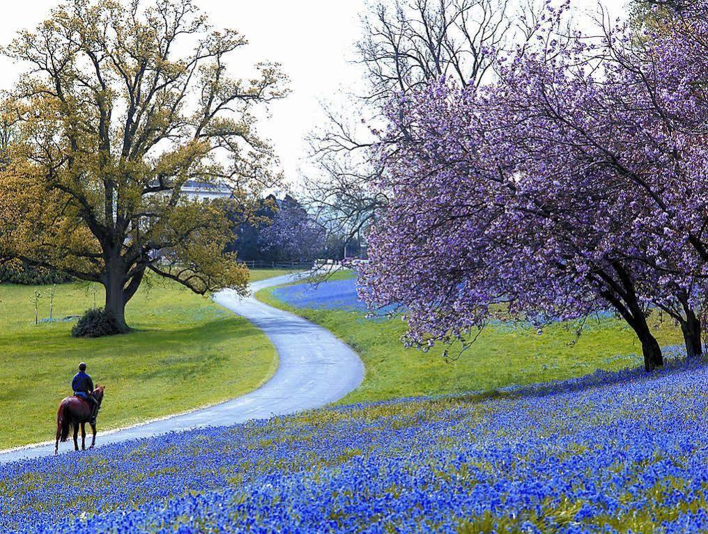 バルカムBrantridge Parkアパートメント エクステリア 写真